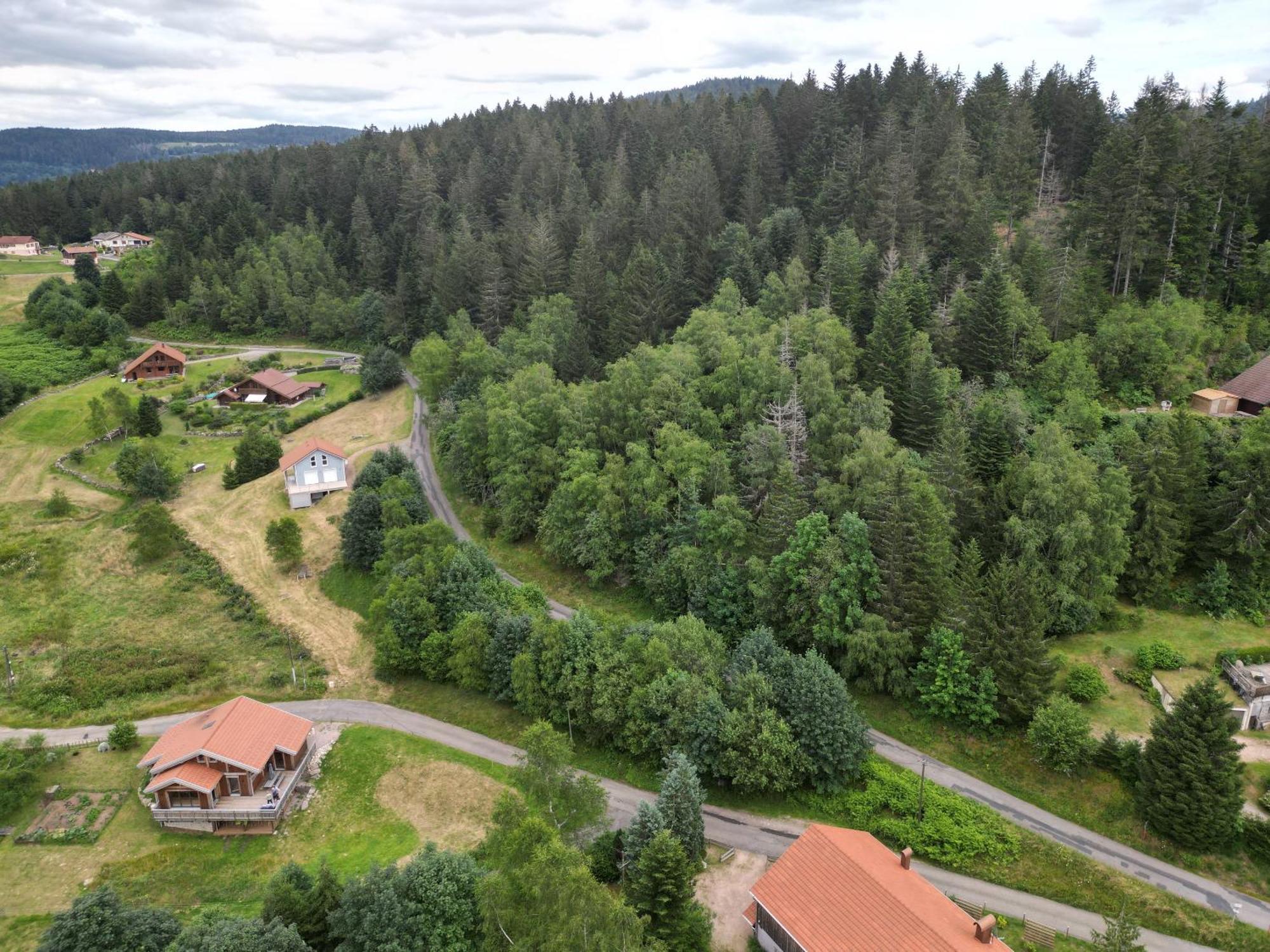 Chalet L'Appel De La Foret เฌราร์แมร์ ภายนอก รูปภาพ